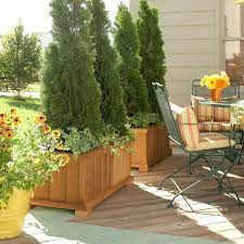 These are perfect for garden decore but not all of us have that much space. 5 Ways To Decorate Your Deck Or Patio With Plants Patio Plants Privacy Plants Privacy Landscaping