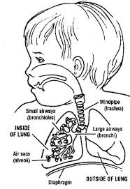 Asthma And Reactive Airway Disease Rad Wheezing Nationwide Children S Hospital Reactive Airway Disease Asthma Respiratory Distress Syndrome Newborn