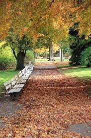 Free Image On Pixabay Park Bank Autumn Away Leaves Beautiful Nature Wallpaper Beautiful Nature Nature Wallpaper