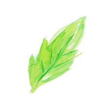葉っぱ Sui Sai 水彩画イラストフリー素材集