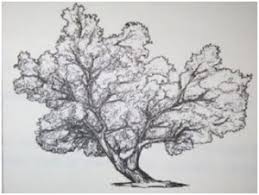 Kumpulan Contoh Soal Psikotes Dan Kunci Jawabannya Dilengkapi Penjelasannya