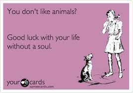 You Don T Like Animals Good Luck With Your Life Without A Soul Dont Trust People Ecards Funny Haha So True