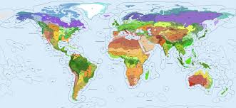 Maybe you would like to learn more about one of these? Bioregions 2020 One Earth
