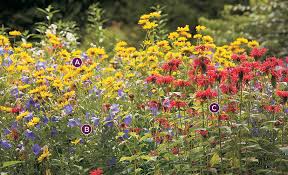 Get a flower bed planner at your fingertips here. Two Stunning Ideas For Your Summer Perennial Garden Bed Garden Gate