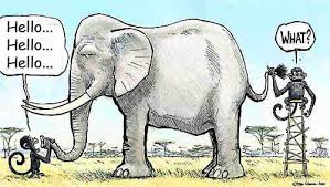 We did not find results for: Sang Gajah Dan Monyet Cerita Anak Indo