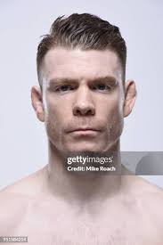 876 Paul Roach Stock Photos, High-Res Pictures, and Images