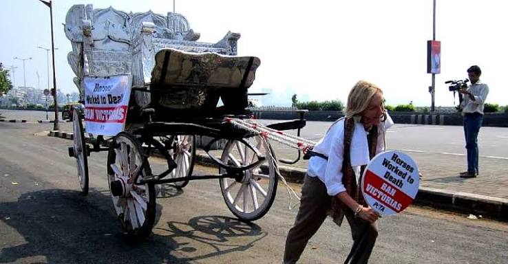 A Look at Mumbai's Iconic Horse Carriage Journey Till its End