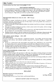 Vice President Of Sales Resume Example