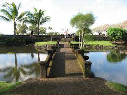 Pin On Hawaii My Beautiful Home