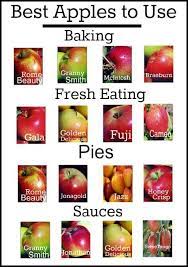 Apple Pie Spice Recipe Cooking And Baking Recipes Fruit Recipes