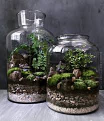 5 Cute Diy Projects For Your Home You Can Do In A Day Society19 Uk In 2020 Garden Terrarium Terrarium Jar Terrarium
