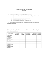 Compound microscope lab 1 answer key. Virtual Lab The Cell Cycle And Cancer