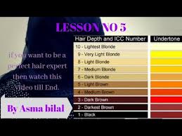Hair Color Formulation International Color Chart Icc Hair Color Theory Class 5
