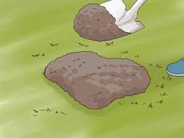 Maybe it's time to consider putting in a paved drive, one that will last a long time before you ever have to think about driveways. How To Fix Sinkholes 9 Steps With Pictures Wikihow