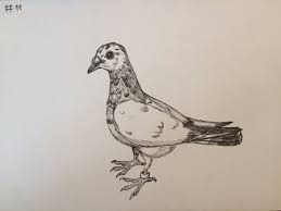 Drawing with pen and ink (or brush and ink) is as challenging as it is inspiring — it heightens an artist's accurate use of line, value, and composition, develops confidence, and opens new pathways to creative possibilities. Adam Drexler On Twitter Inktober 11 Pigeon Inktober Inktober2018 Drawing Ink Inkdrawing Pen Pendrawing Art Artist Creative Creativity Design Animal Pigeon Bird Nature Pet Https T Co Vuowm6agtw