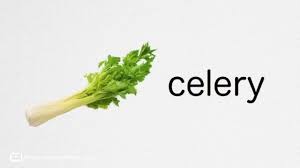 Salaryдля многих слова celery и salary звучат практически одинаково, ведь отличие заключается всего. How Do You Pronounce Celery Your English Practice