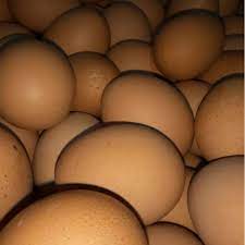 Check spelling or type a new query. Telur Ayam Horen Ready Stok Shopee Indonesia
