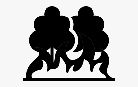 ✓ free for commercial use ✓ high quality images. Forest Fire Black And White Png Free Transparent Clipart Clipartkey