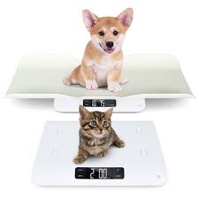 The Ultimate Guide to Digital Pet Scales