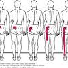 The sciatic nerve is the longest nerve in your body, and runs from your lower back. Https Encrypted Tbn0 Gstatic Com Images Q Tbn And9gctyidbutvyhyqd6xw6tjaxp Waly8jtfhqnv9phd27sg Mpbmwx Usqp Cau