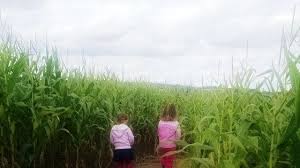 Then learn to can and freeze! South East Wisconsin Pumpkin Farm Guide Lake Country Family Fun
