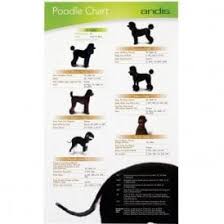 pet grooming charts buy today groomers uk