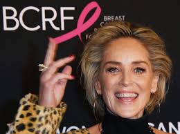 Show html view more styles. Sharon Stone Hilaria Baldwin S Plight Is Like Lgbtq People