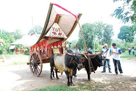 Kereta lembu menjadi ikon negeri tersebut dimana kita boleh naik kereta lembu di kawasan air keroh, melaka (berdepan dengan zoo melaka). Kereta Lembu Di Melaka Ajib Asnan Flickr