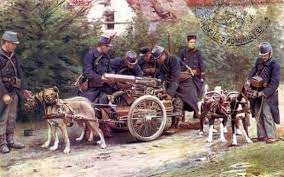Le peintre britannique alfred james. Les Chiens De Guerre Pendant La Guerre 14 18 Suite 3 Chien De Guerre Guerre War Dogs