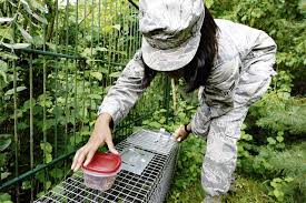When we let these inner voices control our lives, we overlook the beauty of the present. A Day In The Life Pest Management Journeyman Kaiserslautern American