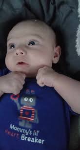 Introduction and photo of doberman