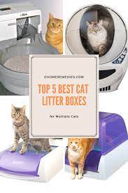 Are You One Of The Thousands Of Cat Owners That Are Tired Of Scooping The Litter Box Then Join The Elite G Best Cat Litter Cat Litter Box Automatic Cat Litter