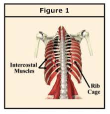 Pin On Fibromyalgia