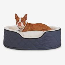 Magic dog super soft extra large dog bed orthopedic pet beds 47 inch jumbo washable anti slip dog sleeping mattress with removable cover, light grey xl 4.8 out of 5 stars 401 $59.99 $ 59. 21 Best Dog Beds According To Dog Experts 2021 The Strategist