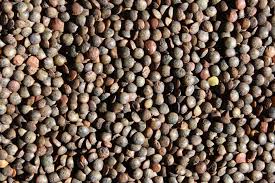 French Green de Puy Lentils Texture Picture | Free Photograph | Photos Public Domain