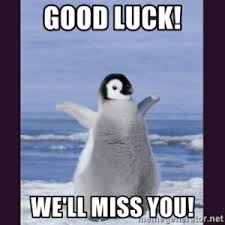 Check spelling or type a new query. Good Luck Wellmiss You Atornet Good Luck We Ll Miss You Cute Penguin Meme Generator Cute Meme On Me Me