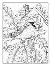 Paper size letter (8.5 x 11). Cardinal And Holly 8 1 2 X 11 Printable Instant Download Coloring Page Bird Coloring Pages Coloring Books Coloring Pages