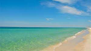 This page features a fish of the month, focusing on popular gamefish and other interesting fishes of the gulf of mexico and the mississippi coast. Gulf Of Mexico The Official Carillon Beach Website