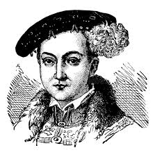 Illustration Vi Stock Illustrations