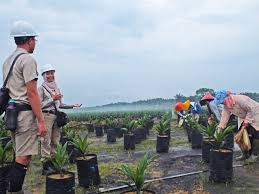 We did not find results for: Anisa Handayani Melawan Stereotip Di Perkebunan Kelapa Sawit