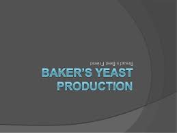 yeast production