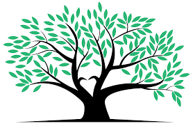 Surveillance and keypad access for added security. Kissing Tree Storage San Marcos Tx