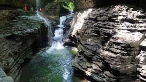 Maybe you would like to learn more about one of these? Fingerlakes Jellystone