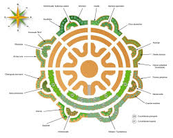 Design Permaculturel Permaculture For T Agroforesterie Herbes Aromatiques Jardin Permaculture Jardin Potager Permaculture Permaculture Design