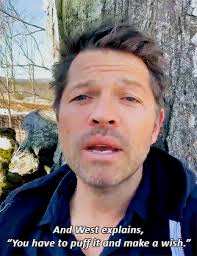 The one with the guns and tuberculosis — starlightcastiel:Present. Tense. ~  Misha Collins