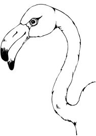 coloriage tete de flamand rose coloriages a imprimer gratuits jouer seul