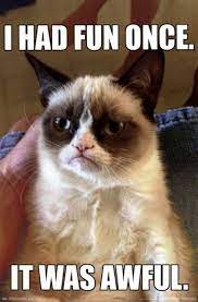 Grumpy Cat Walmart Com In 2021 Grumpy Cat Humor Grumpy Cat Grumpy Cat Quotes