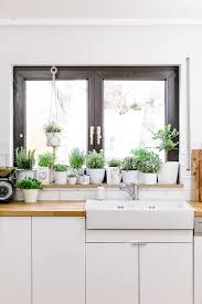 Nahezu alle kräuter wachsen problemlos auch in töpfen, kübeln und anderen pflanzgefäßen. Krautergarten In Der Kuche Urban Jungle Dreierlei Liebelei