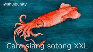 Tumis bahan kisar,masukkan cili kisar,tumis hingga garing,masukkan pes asam jawa,garam gula secukup. Cara Siang Sotong Xxl How To Clean Squid Youtube