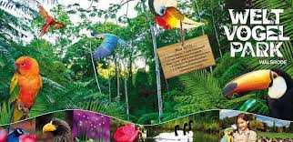 Welt Vogelpark Walsrode Eintritt Und Hotel Zum Gunstigen Preis Park Hotel Welt